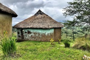 Protea Ridge Culture