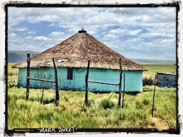 Protea Ridge Culture