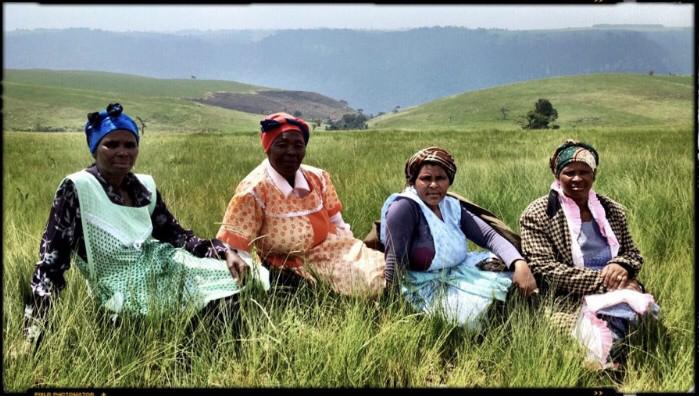Protea Ridge Culture