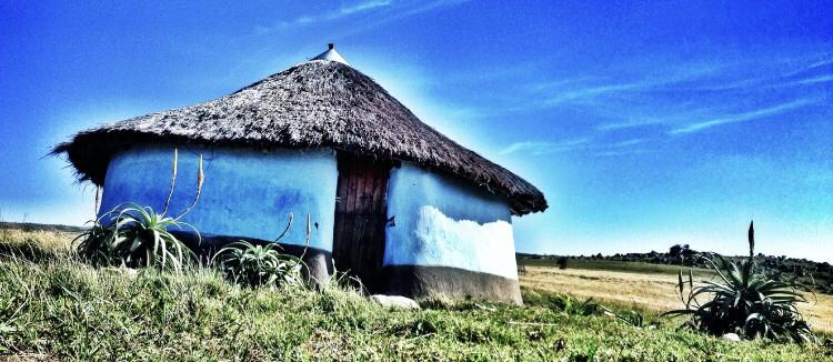 Protea Ridge Culture