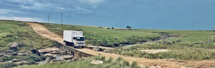 Protea Ridge On the road to us