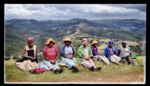 Protea Ridge Culture