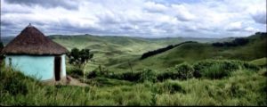 Protea Ridge Culture