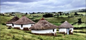 Protea Ridge Culture