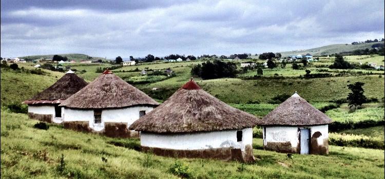 Protea Ridge Culture