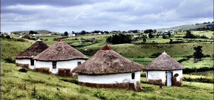 Protea Ridge Culture