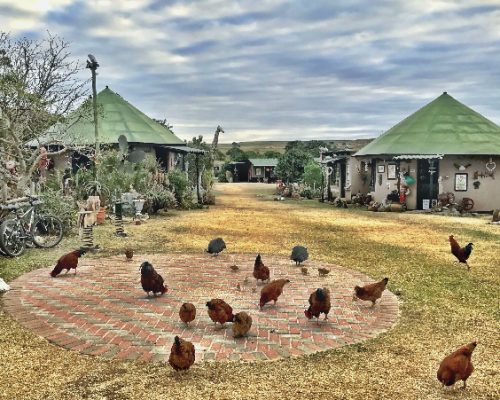 wild coast south africa accommodation protea ridge