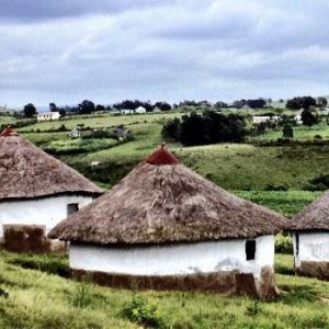 Protea Ridge Culture